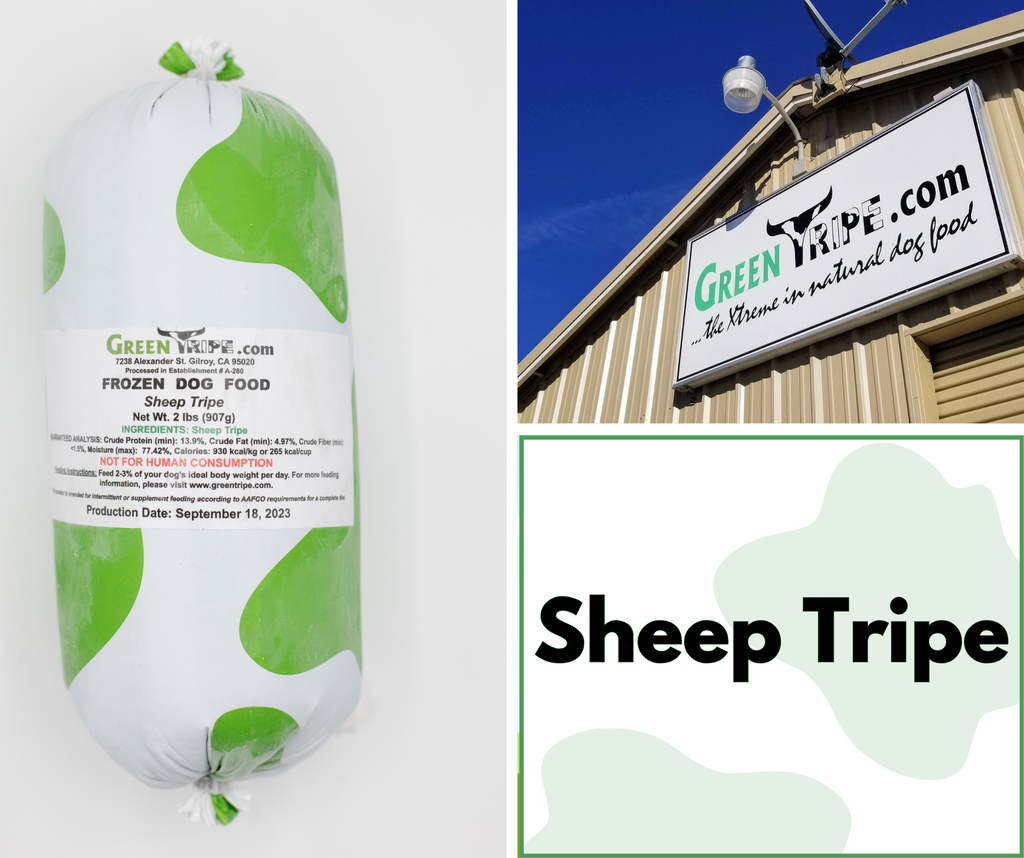 grass-fed sheep tripe, raw dog food in gilroy ca, best frozen raw dog food in california